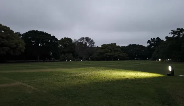 技术外包中人员流动性对项目进度的影响原因分析