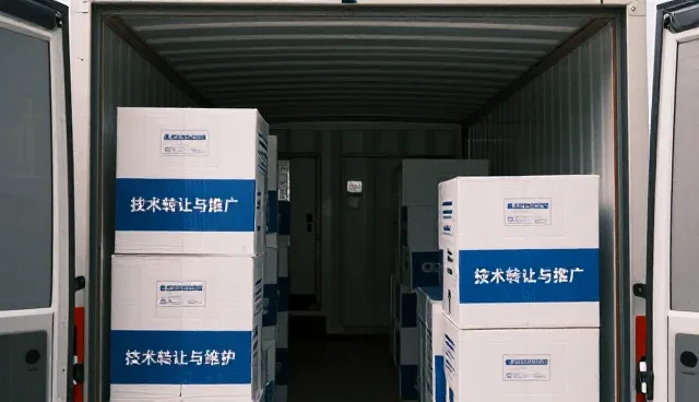 技术转让中的性能表现与实际应用条件分析
